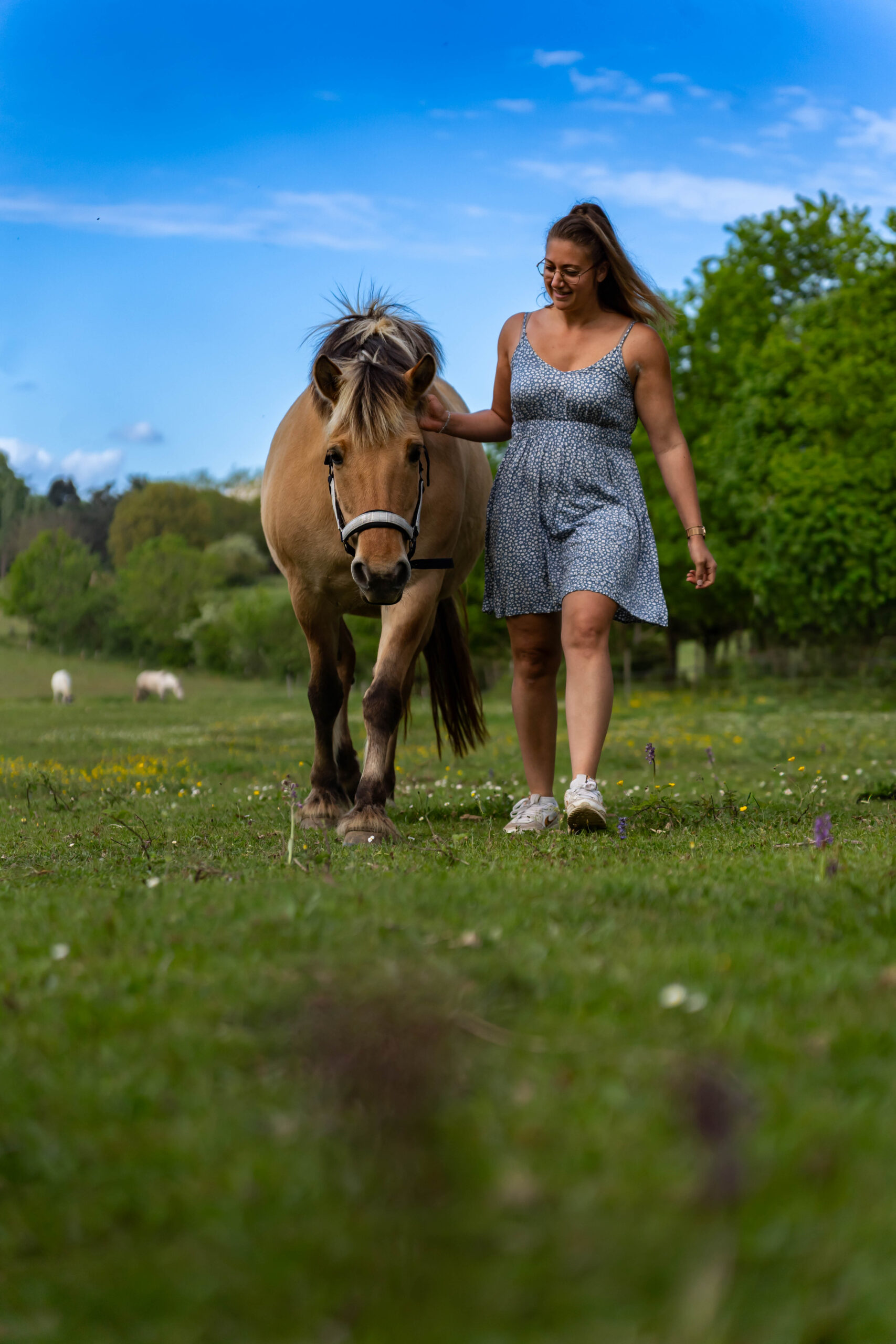 Escapade – prairie