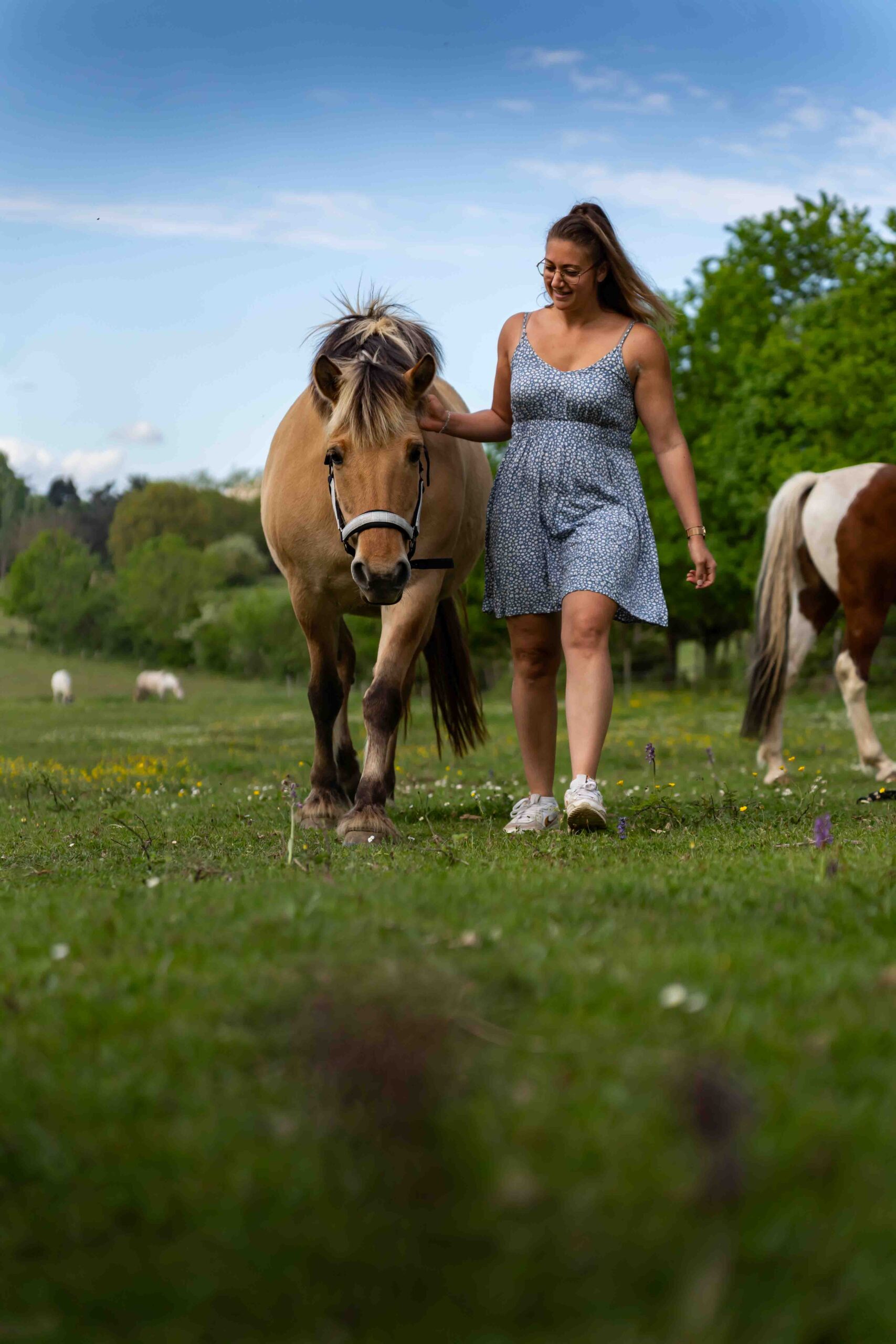 Photographie animalière dans le Tarn