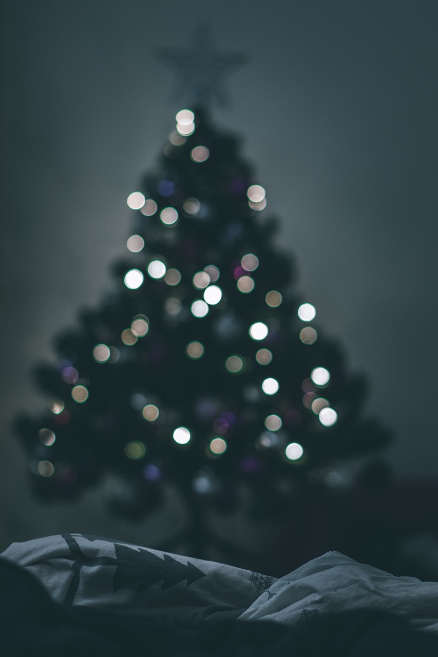 christmas tree, christmas, bokeh, christmas lights, holidays, december, decoration, christmas decoration, christmas tree, christmas tree, christmas tree, christmas tree, christmas tree, christmas, christmas, christmas, christmas, christmas lights