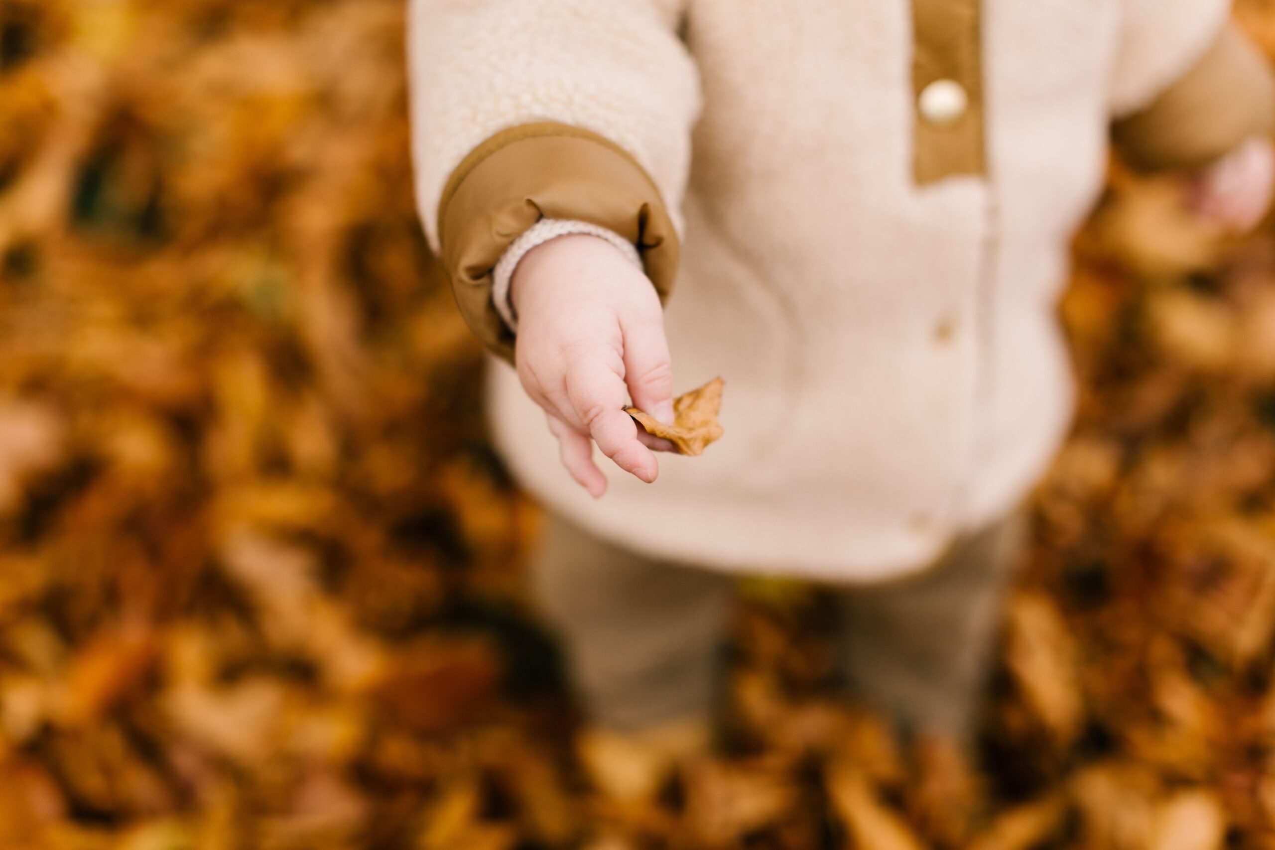 Séance photo en nature en automne